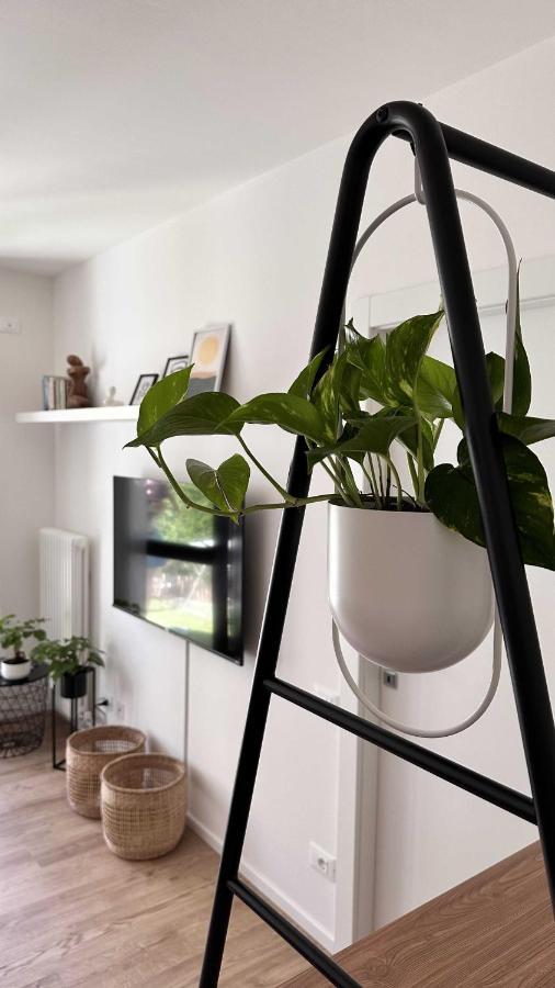 Apartment Casa Giona